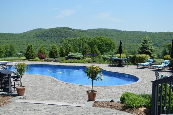 Kidney shop shaped pool